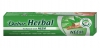 Dabur Pasta do zębów z organiczną miodlą indyjską (Neem)